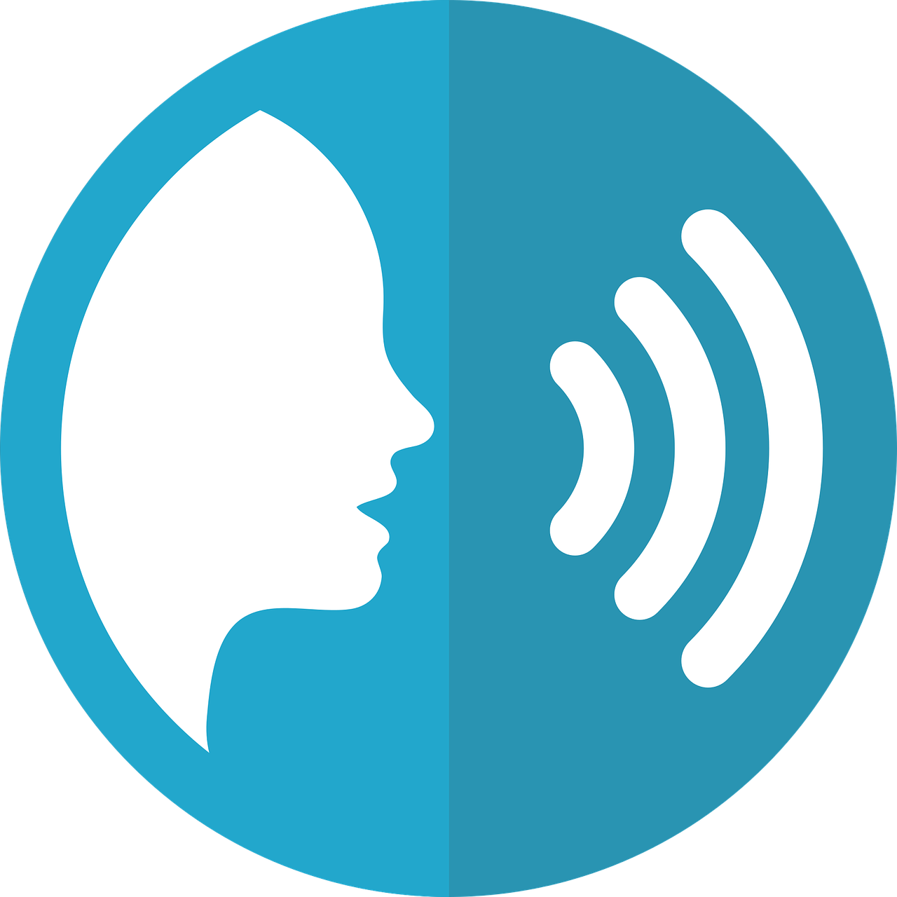 Audio description using synthetic voices - a modern alternative