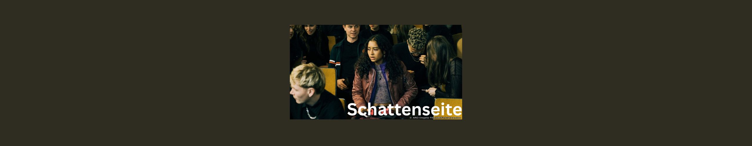 NLM Slider Schattenseite